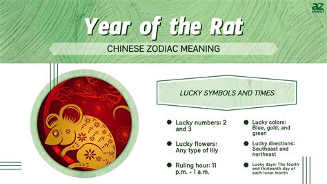 year of the rat female